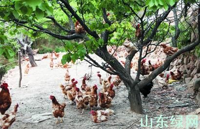 點(diǎn)此在新窗口瀏覽圖片