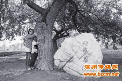 點此在新窗口瀏覽圖片