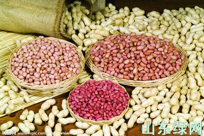 點此在新窗口瀏覽圖片