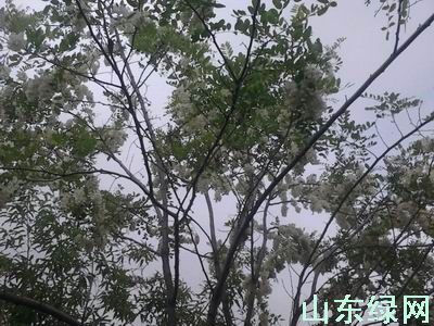 點此在新窗口瀏覽圖片