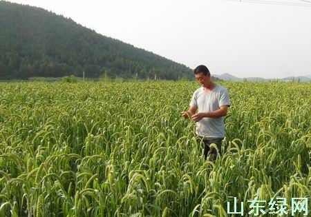 點此在新窗口瀏覽圖片