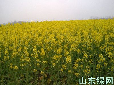 點此在新窗口瀏覽圖片