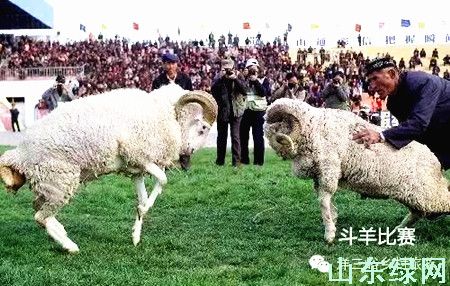 點(diǎn)此在新窗口瀏覽圖片