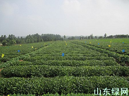 點此在新窗口瀏覽圖片
