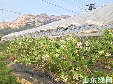 點此在新窗口瀏覽圖片