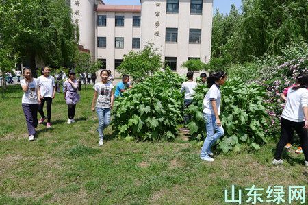 點此在新窗口瀏覽圖片