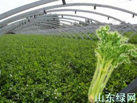 點此在新窗口瀏覽圖片