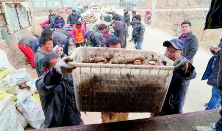 點此在新窗口瀏覽圖片
