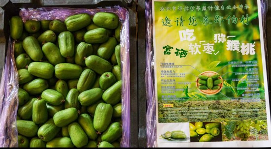 點此在新窗口瀏覽圖片