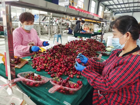 點此在新窗口瀏覽圖片